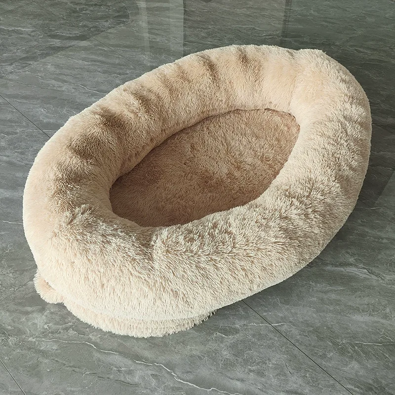 Dual-Use Sponge Bed for Humans and Dogs
